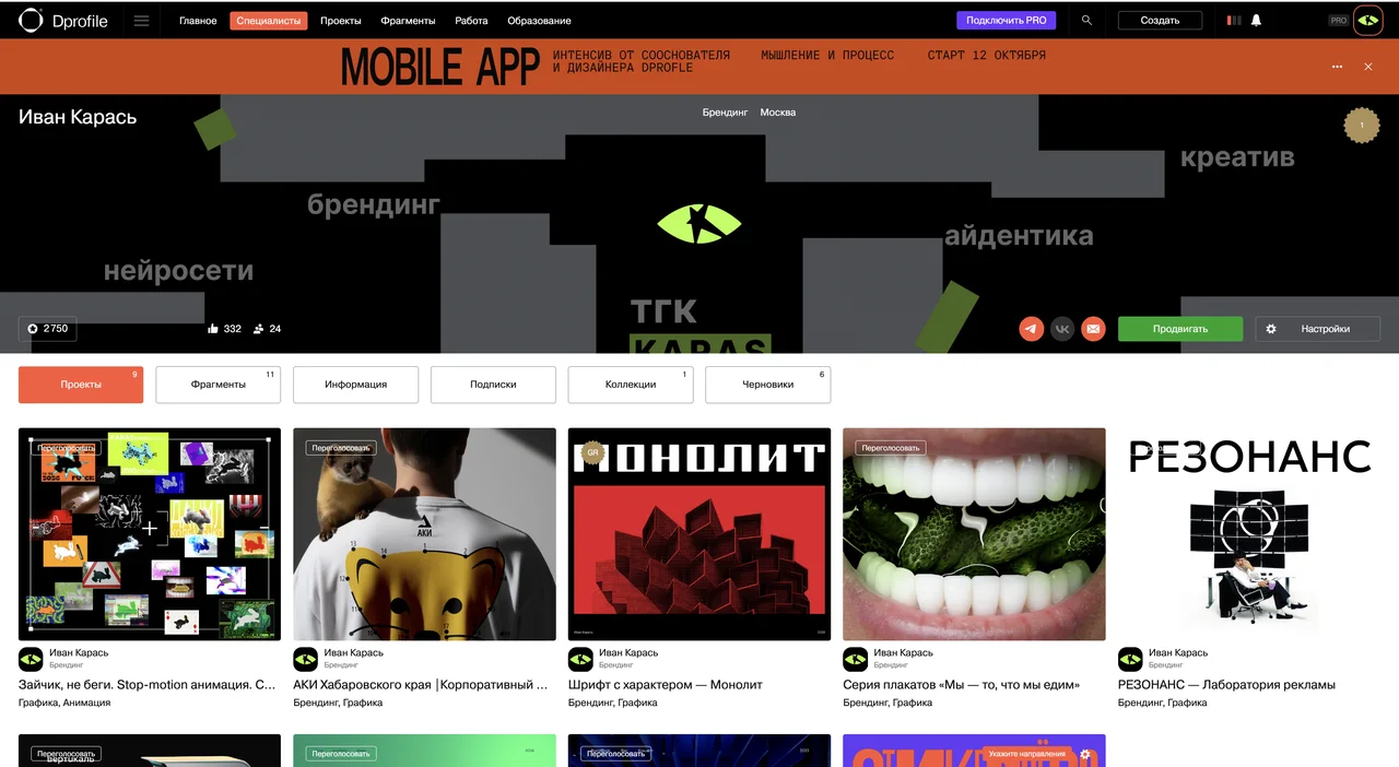 Мой профиль на Dprofile